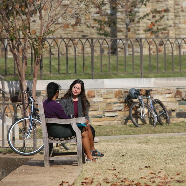 Students confer on a bench in an open quad.